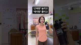 중년건강은 근육 늘리고 체지방 줄이고 | 근육부자를 위한 단백질 섭취.아래 설명을 참조하세요