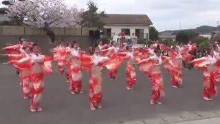 茜丸 舞龍祭 福龍会場