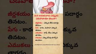What Your Cravings Say About Your Health