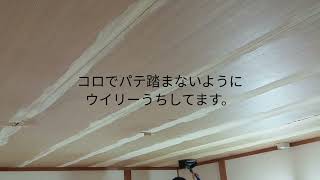 フラットボックスでムリヤリシリーズ　和室ラミ天目地埋め（ウイリーうちアリ）