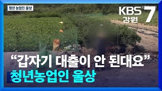 “갑자기 대출이 안 된대요”…청년농업인 울상 / KBS  2025.01.20.