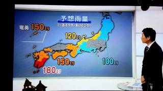 NHK天気予報の差し棒が大好きな黒猫