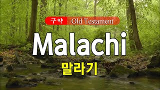 39.Malachi (말라기) 영어성경 NIV 통독 낭송 / 영어 자막 / 전문 성우가 읽어주는 오디오 성경