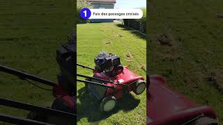 Comment scarifier sa pelouse ? Le tuto des experts Bleen.