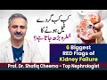 6 Biggest RED Flags of Kidney Failure #proteinuria #creatinine #ckd #kidneyfailure #nephrologist