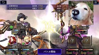 FFBE幻影戦争　ギルドバトル　2020/05/10　2戦目