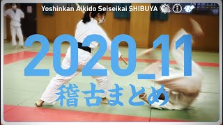 ［2020_11 稽古まとめ］養神館合気道 精晟会渋谷の稽古