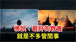 佛說：最好的教養，就是不多管閒事，[心靈驛站]