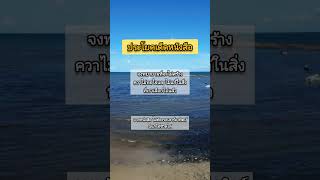 ประโยคเด็ดหนังสือ ไม่ต้องรอเสาร์อาทิตย์ฉันก็ใช้ชีวิตได้ #คำคม #หนังสือ #ข้อคิด #แรงบันดาลใจ