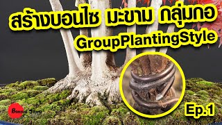 สร้างบอนไซมะขามกลุ่มกอ, บอนไซมะขาม, Tamarind Bonsai​, Group Planting Style, Tamarind  [Ep.1]