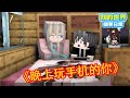 Minecraft ：晚上玩手机的你【我的世界方块轩】