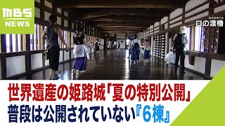 姫路城“普段は公開されていないエリアの６棟”公開　９月２４日まで「夏の特別公開」（2023年8月11日）