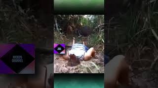 the end 😂🤣👌#fails #funny #viral #shorts