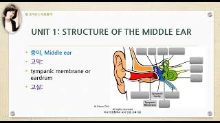 Ear 의학용어 (수정본, 소리 UP) #의료통역 #의료영어 #의학용어 #의료관광#미국의료통역사#미국간호사