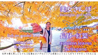 【VR 360 5.7K】美女さんぽ　～長野 美しい紅葉めぐり～　Beautiful girl walk in Nagano autumn leaves in Japan