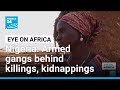 Armed gangs behind killings, kidnappings in Nigeria • FRANCE 24 English