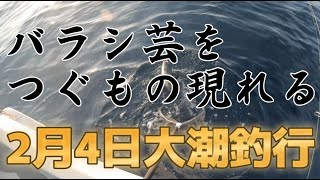 【ジギング】バラシ芸を継承する漢たち　2月4日大潮釣行　高知　Japanese boat fishing【タイラバ】