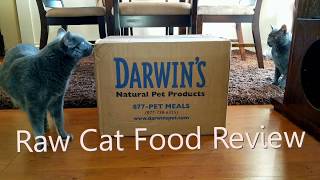 Darwin's Natural Pet Products Natural Selections Raw Cat Food Review