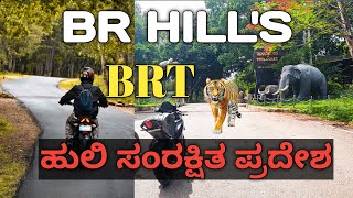 ಬಿ.ಆರ್ Hill's ಅಲ್ಲಿ ಹುಲಿ ಸಿಂಹ ನೋಡಕೆ ಅಂತ ಹೋಗಿ ಏನ್ ನೋಡಿದ್ವಿ ಗೊತ್ತ??🦎🦖 / EP 01 / KANNADA VLOGS