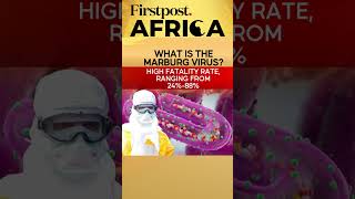 After Mpox, Marburg Virus Scare | Firstpost Africa