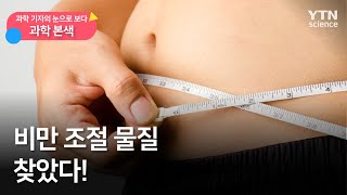 [과학본색②] 비만 조절 물질 찾았다! / YTN 사이언스