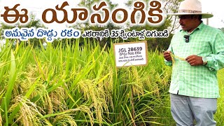 JGL 28639 | best paddy seeds in telangana | అధిక దిగుబడులను ఇస్తున్న కొత్త వరి రకం