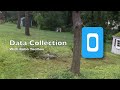 Offline Tree Cataloguing with KoBo Toolbox