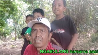 mancing liar033 sport Rawa rawa