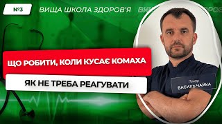 #3 Що робити, коли кусає комаха, як не треба реагувати. Відповідає лікар Василь Чайка