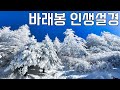 이래서 바래봉 바래봉 하는거구나... 드디어 만난 지리산 바래봉 눈꽃의 진면목 | 등산 vlog