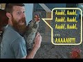 More INSANE Rooster Screams! Mae Mae Is Seriously SOOO Dramatic