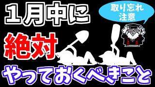 【にゃんこ大戦争】これをやらないと1年間後悔します！1月中に絶対やっておくべきこと（にゃんこ成人、にゃんこ囚人）【The Battle Cats】