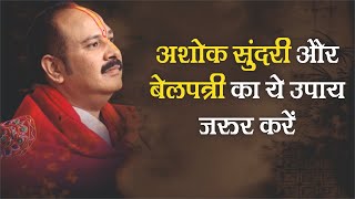 अशोक सुंदरी और बेलपत्री का ये उपाय जरूर करें - Pandit #Pradeep Ji Mishra Sehore Wale