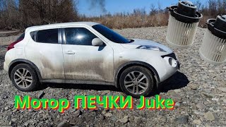 Шумит мотор печки Nissan Juke. Дерево от которого постоянные проблемы с авто.