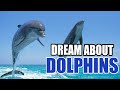 Dreams About Dolphins – What Is The Symbolic Interpretation? - Sign Meaning