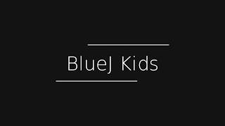 How to write fibonacci series in BlueJ;Program 13