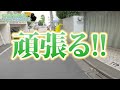 【ドッキリ】ペーパードライバーの弟いきなりバイク運転させてみた【バイク初心者・練習】