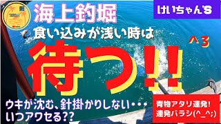 【海上釣堀】食い込みが浅い浅い時は待つ!!ウキが沈む、針掛かりしない・・・いつアワせる??