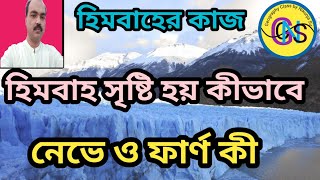 হিমবাহ কিভাবে সৃষ্টি হয়। How glaciers are formed. নেভে কী। ফার্ণ কাকে বলে। What is neve.