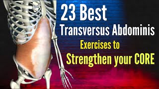 Preventing and eliminating low back pain: Strengthening the Transversus Abdominis - 23 TvA exercises