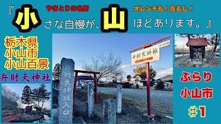 栃木県小山市【小さな自慢が山ほどあります。】って本当なの？だから探してみた‼️#栃木県観光#小山市好きな場所#弁財天