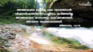 അനുദിന വചനം 06 06 2023