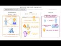 gcse biology what are nutrients carbohydrates lipids proteins vitamins u0026 minerals 15