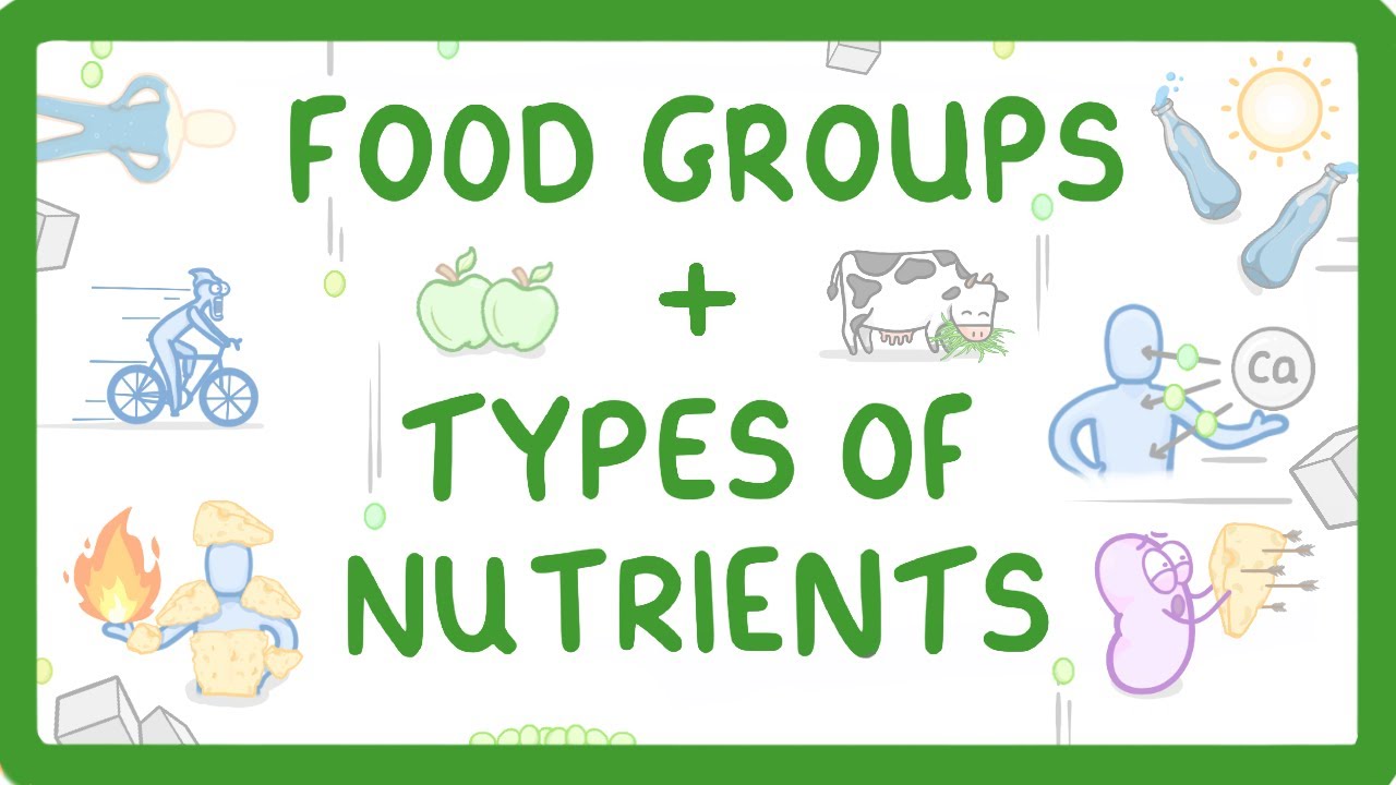 GCSE Biology - What are Nutrients? Carbohydrates, Lipids, Proteins, Vitamins & Minerals