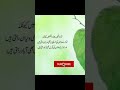 Ye Zindgi Mukhtsar C Ha Torna nahi Balkay Jorna Sekhay / @Islamic@ Official (Viral) Vedio #Shorts#