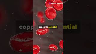 Facts About Copper! #facts #shorts #viralvideo #fyp #science