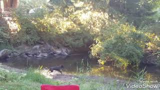 Camping at Hazelmere in Delta Aug 2018