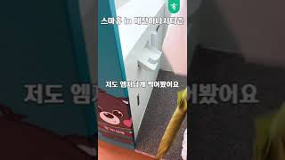 1팀 스마홍 in 대전하나시티즌