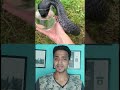 ഇതൊന്നും ആർക്കും അറിയില്ല.. facts about king cobra sadiq vlogs shorts trending afworld