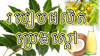 របៀបផលិត ប្រេងស្តៅ